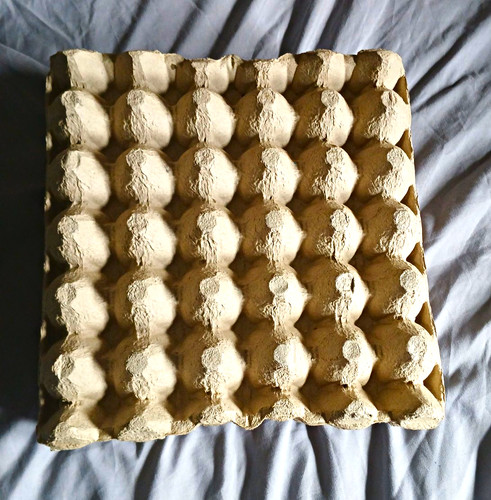 Egg cardboard packaging - 30-egg,