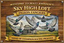 Pigeon loft brown - pigeon,