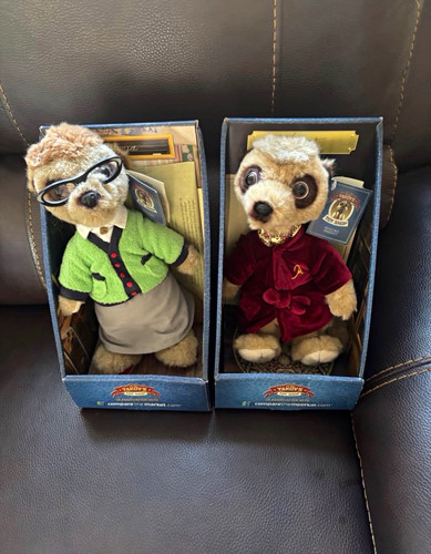 Aleksandr maiya meerkat - maiya,