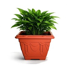 Venetian Plant Flower Plastic