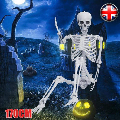 Halloween skeleton life - life, size