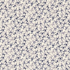 SANDERSON CURTAIN FABRIC by