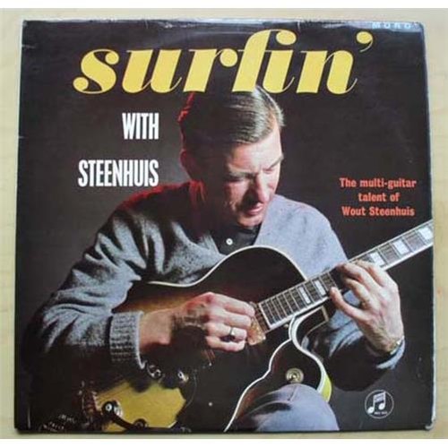Wout steenhuis surfin - steenhuis, with