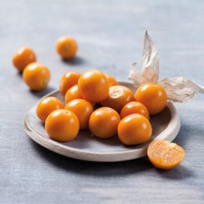 Cape Gooseberry 'Goldvital' 2L