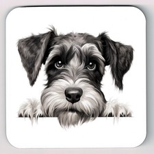 Peeking Peeping Schnauzer