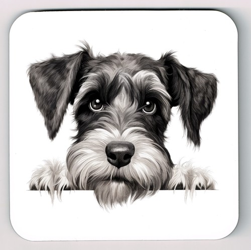 Peeking peeping schnauzer - peeking,