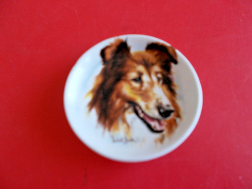 Plate mini collie dog - mini,