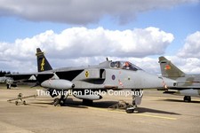RAF 16 Squadron Sepecat Jaguar