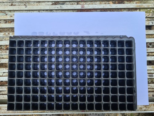 Rigid plastic 144 cell seed - 144,