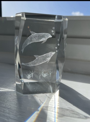 Laser etched swimming - laser,