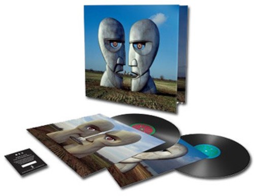 Pink floyd division - pink,
