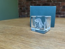3d Hologram Laser Etched Cat  Glass Paperweight 