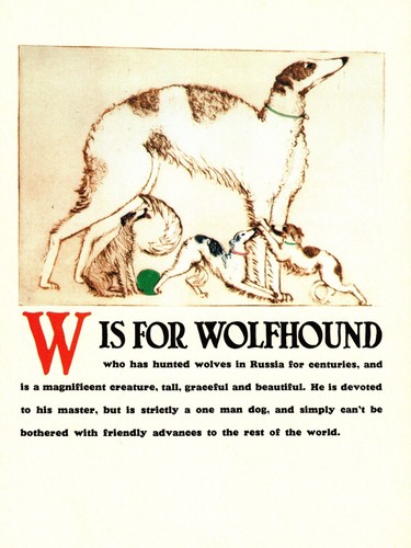 Vintage russian wolfhound - vintage,