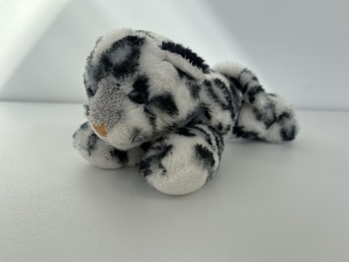 Aurora snow leopard lying - snow,