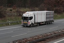 Truck Photo Scania Livestock