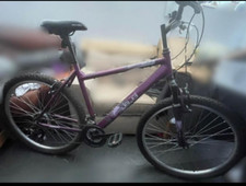 Used Apollo Jewel ladies 20" /