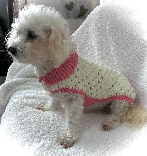 Handmade crochet chenille dog - chenille,