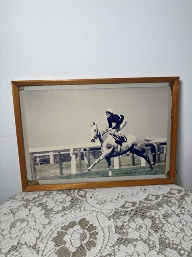 Vintage horse racing photo - vintage,