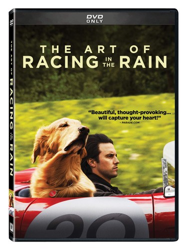 The art racing rain - in,