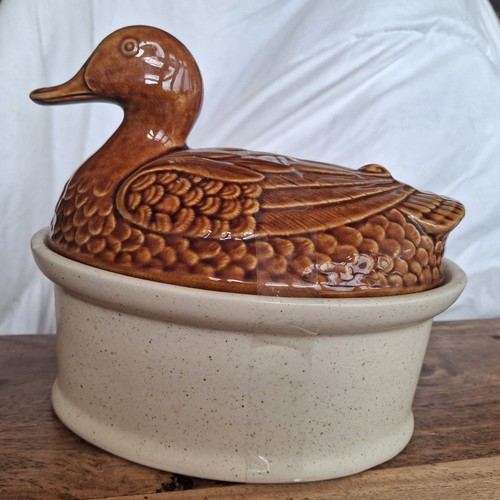 Vintage antique duck egg - vintage,