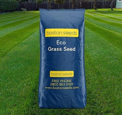 20kg boston seeds economy - seeds, bs
