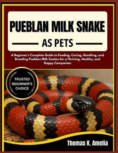 Pueblan milk snake pets - pueblan, pets: