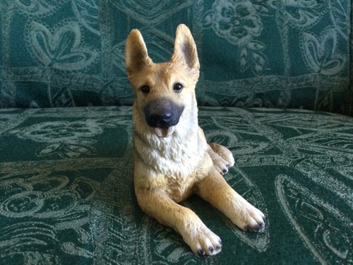 German shepherd gsd puppy - gsd,