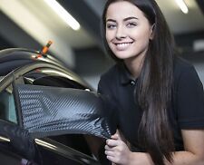 2x carbon look exterior mirror