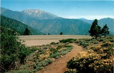 mountain trail, high plateau, winter sports, summer vacation land, Max Postcard