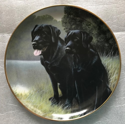 Labrador plate sporting - labrador,