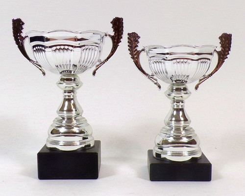Silver presentation cup with - silver,