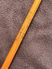 Pezon & Michel Parabolic Ritz T1