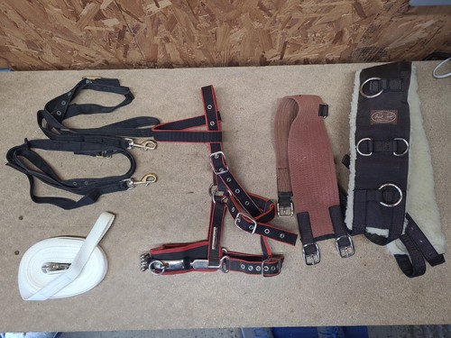 Lunging joblot pony size - joblot,pony,