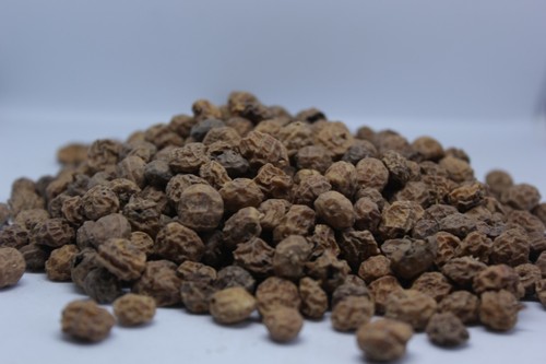 Fishing tiger nuts unprepared - tiger,