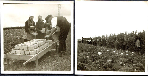 Ww2 original photos of - 2x,
