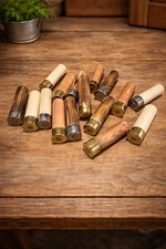 12 Guage Shotgun Cartridge
