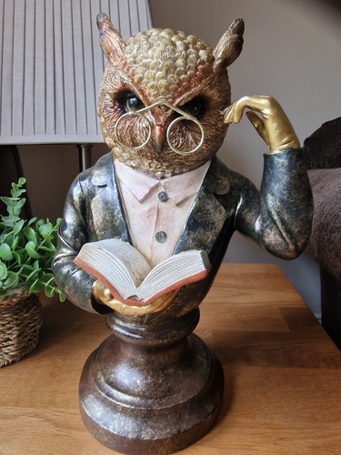 Wise owl bust professor - owl,