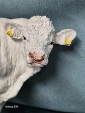 Handsome Border Fine Arts