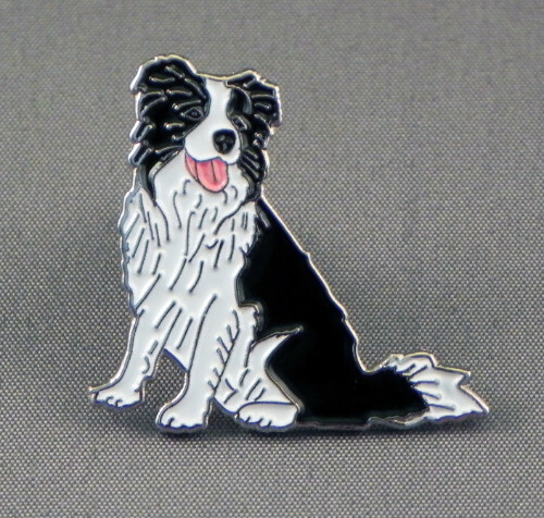 Border collie sheep dog - border,