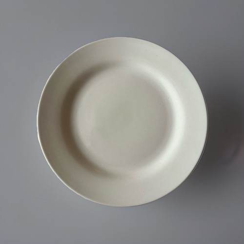 White dinner plate - white,