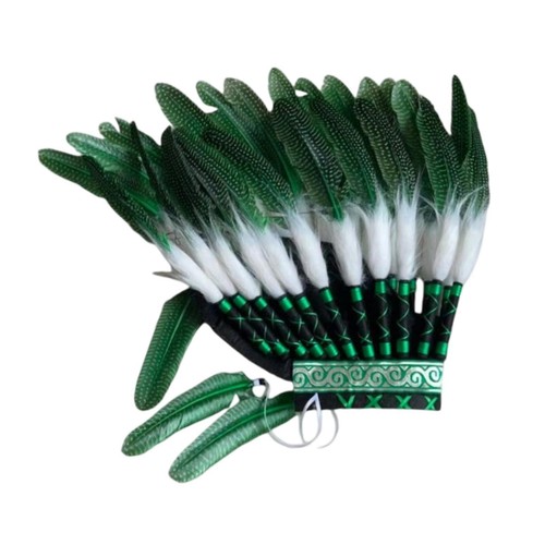 Indian native chief headdress - indian,