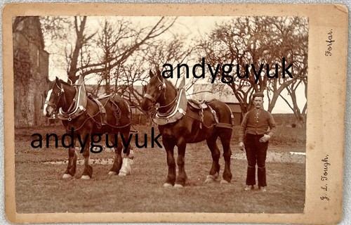 Cabinet card rare - tough, of
