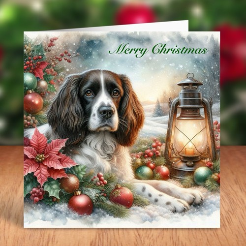 Springer spaniel dog - springer,