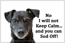 Patterdale Terrier Pet Dog Funny Fridge Magnet New Keep Calm Christmas Gift