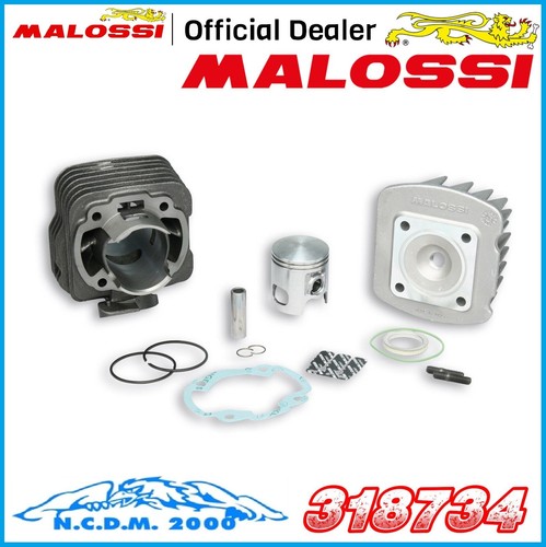 Thermal group malossi 47 - malossi,