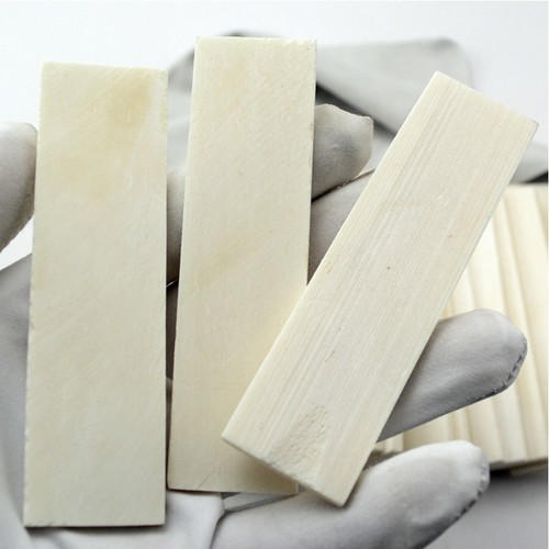 2pc bovine bone knife - bovine, handle