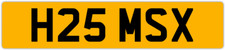 HAMSA NUMBER PLATE HAMAD HAMZA
