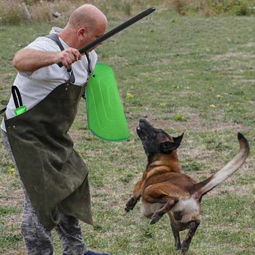 Dog bite training - bite,