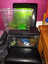 Two Small Fish Tanks with Two Filters and One with A Light Up LED