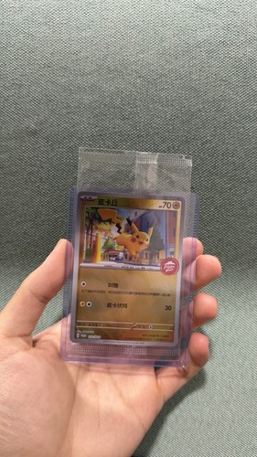 Pokémon traditional chinese - pokémon,